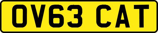 OV63CAT
