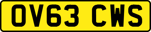 OV63CWS