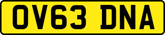 OV63DNA