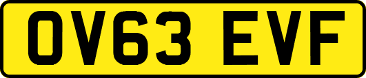 OV63EVF