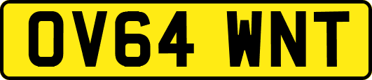 OV64WNT