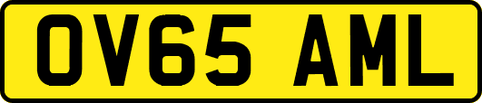 OV65AML