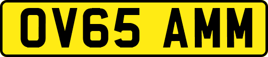 OV65AMM