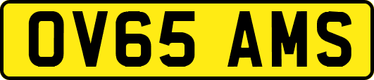 OV65AMS