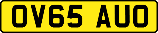 OV65AUO