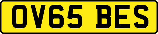 OV65BES