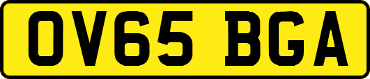 OV65BGA