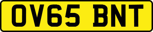 OV65BNT