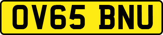 OV65BNU