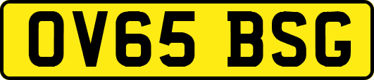 OV65BSG