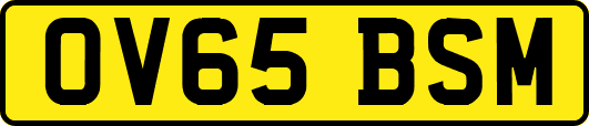 OV65BSM