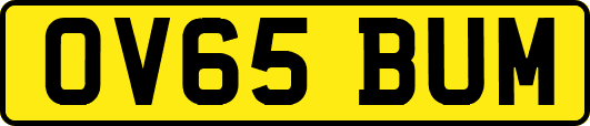 OV65BUM
