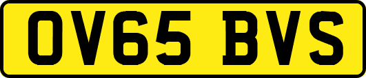OV65BVS