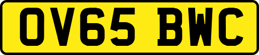 OV65BWC