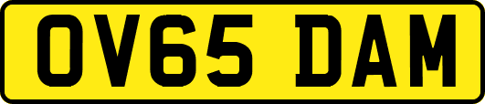 OV65DAM