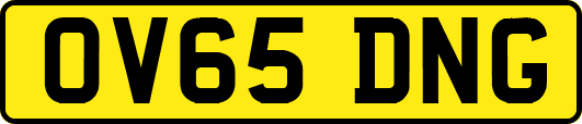 OV65DNG