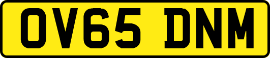 OV65DNM