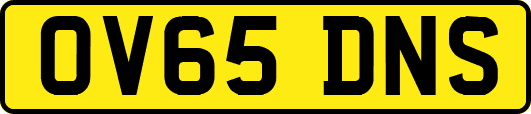 OV65DNS