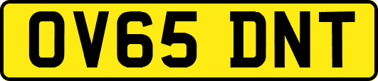 OV65DNT