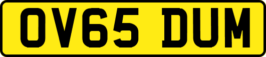OV65DUM