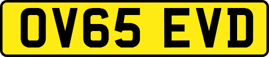 OV65EVD
