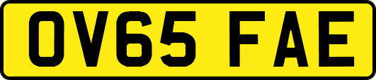 OV65FAE
