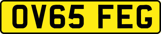 OV65FEG