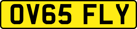 OV65FLY