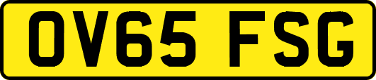 OV65FSG