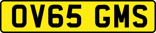 OV65GMS