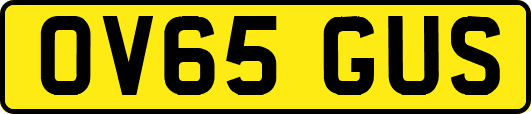 OV65GUS