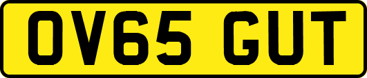 OV65GUT