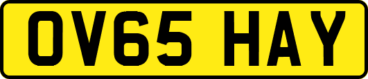 OV65HAY