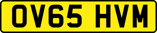 OV65HVM