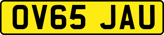 OV65JAU