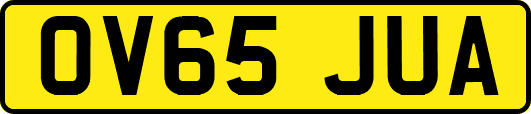 OV65JUA