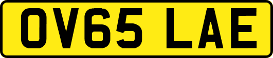 OV65LAE
