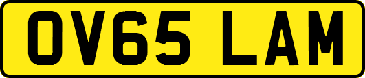 OV65LAM