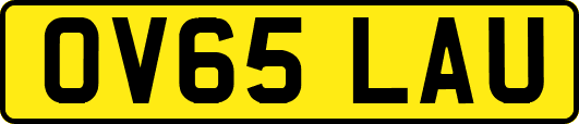 OV65LAU