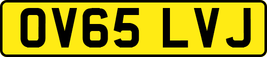 OV65LVJ