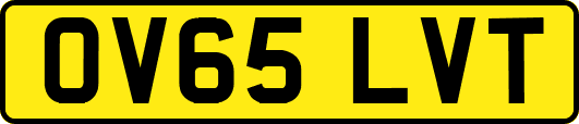 OV65LVT