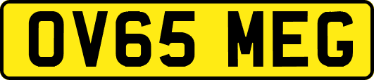 OV65MEG