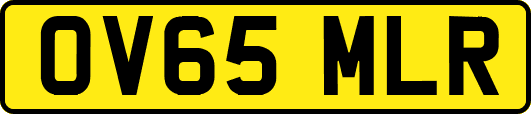 OV65MLR