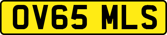 OV65MLS