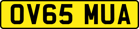 OV65MUA