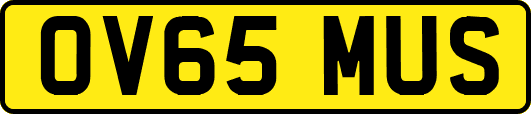 OV65MUS