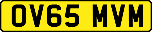 OV65MVM