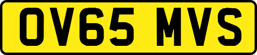 OV65MVS