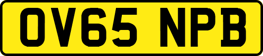 OV65NPB