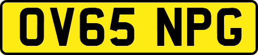 OV65NPG